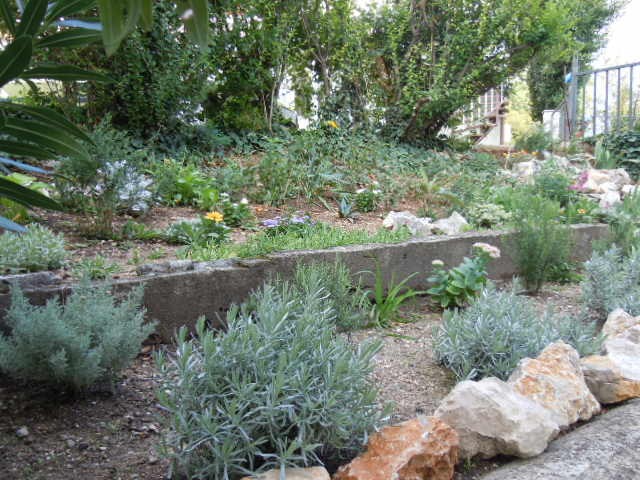 slike cvijeca